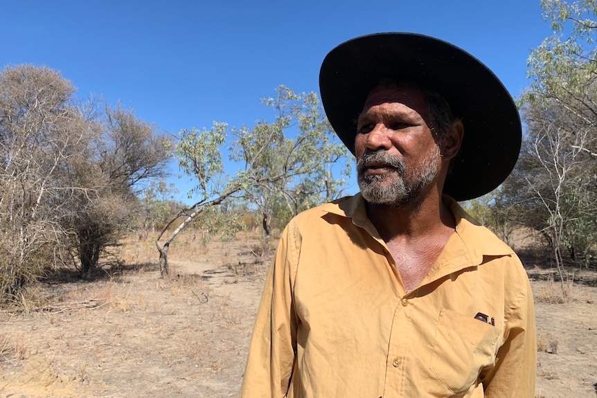 A man in a wide hat standing in a bush environment, on a sunny day. 