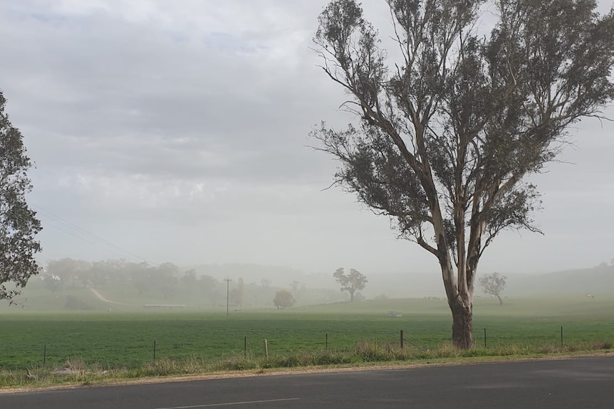 Dust in the air with green paddocks and trees 