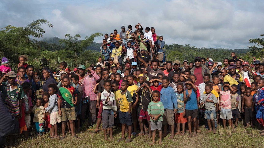 Wide shot of a large group of people standing in a clearing.