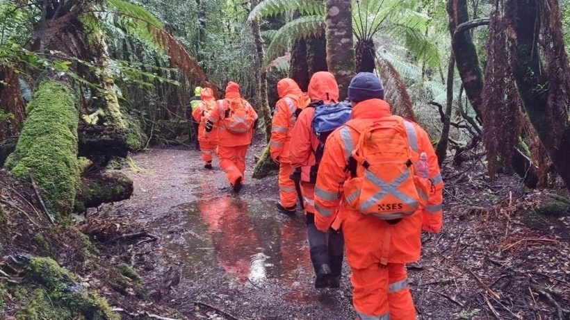 SES personnel searching bushland for Belgian tourist Celine Cremer