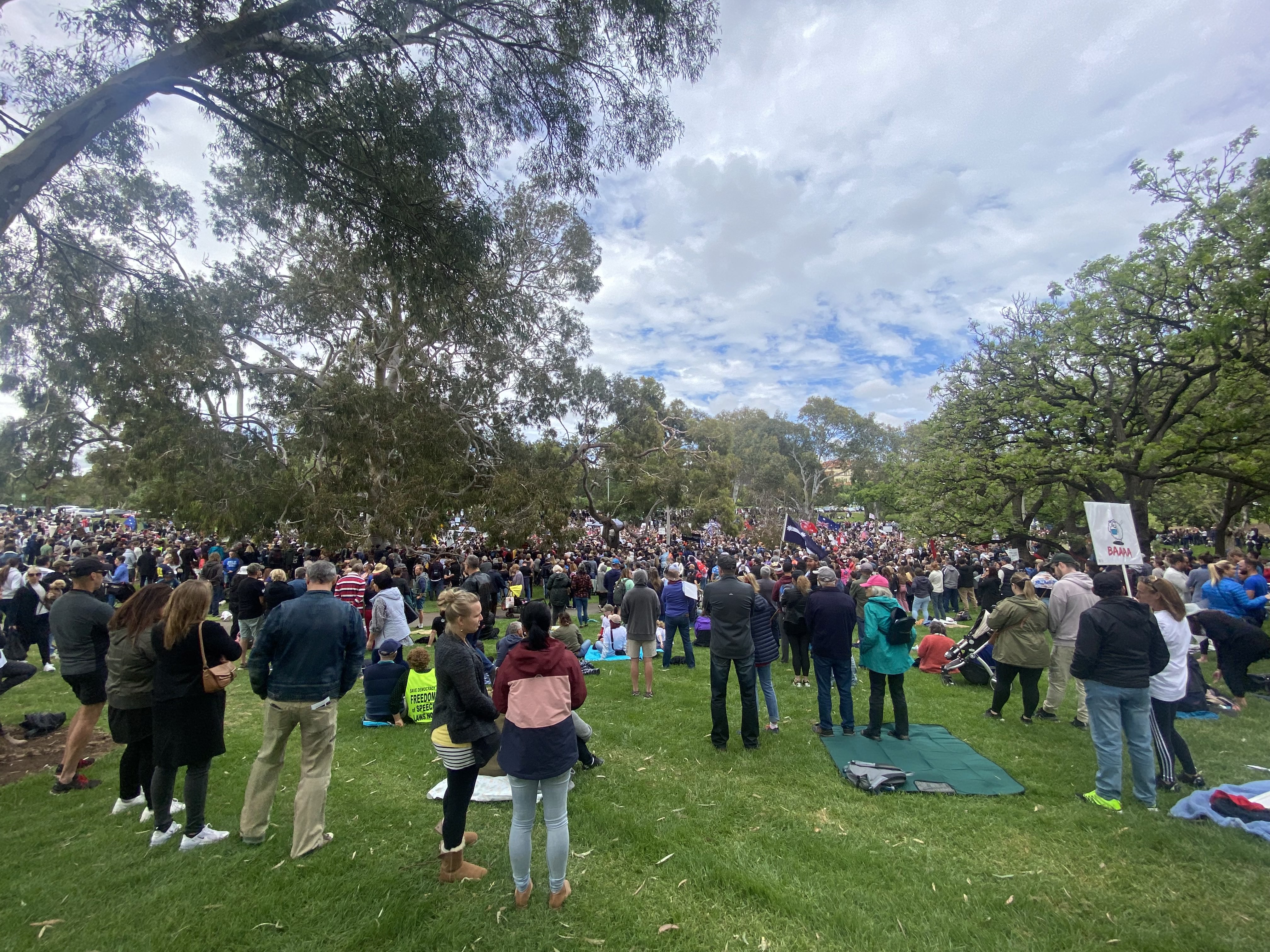 People gathered in a park with protest signs and flags