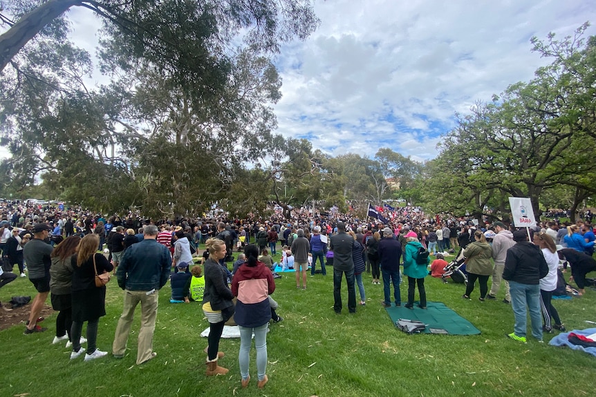 People gathered in a park with protest signs and flags