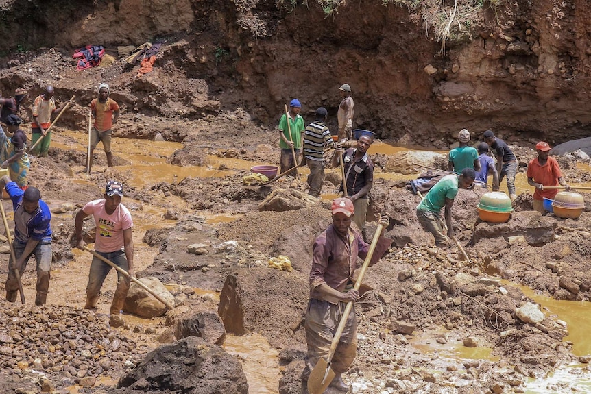 men use wooden sticks and spades to dig in the mud