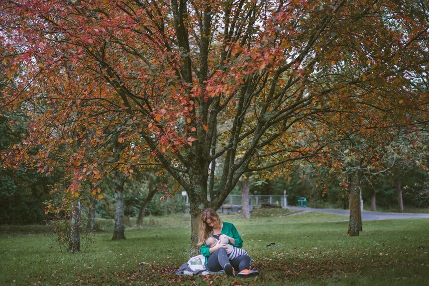 A woman breastfeeds a baby under a tree covered in autumn leaves.
