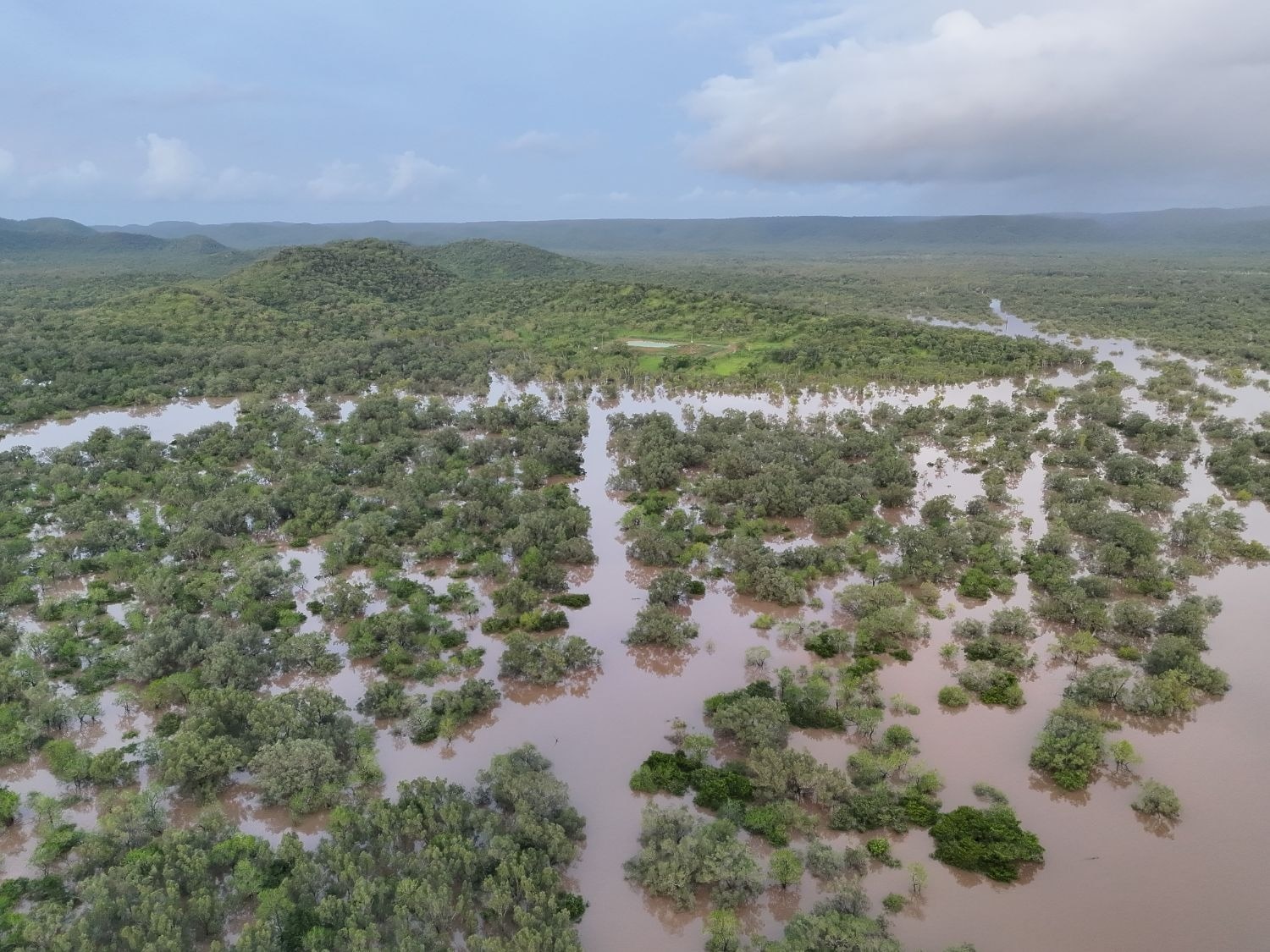 Una vista aérea de un paisaje verde y exuberante inundado de agua del que solo sobresalen árboles.