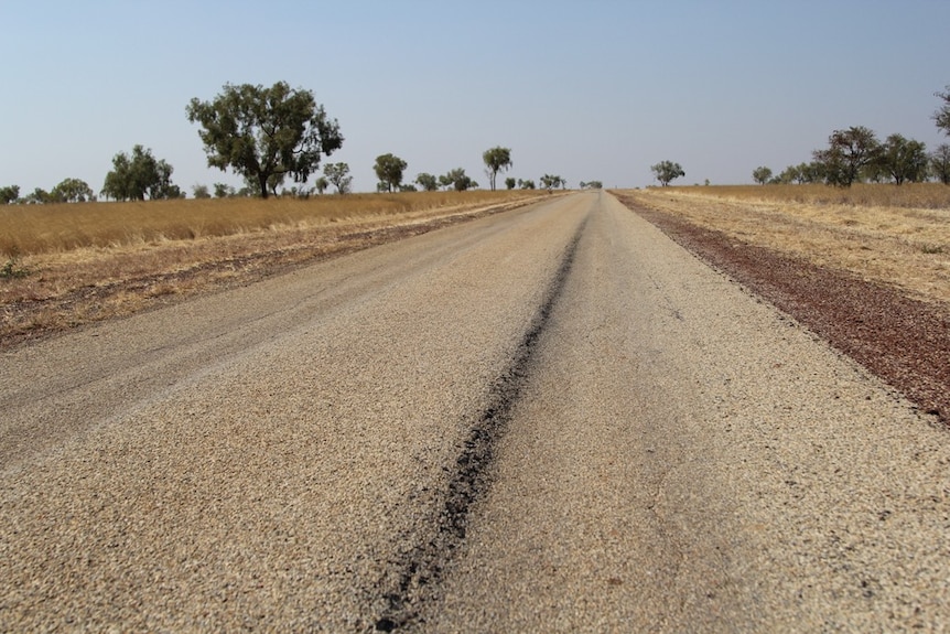 a bitumen road with grass and trees either side