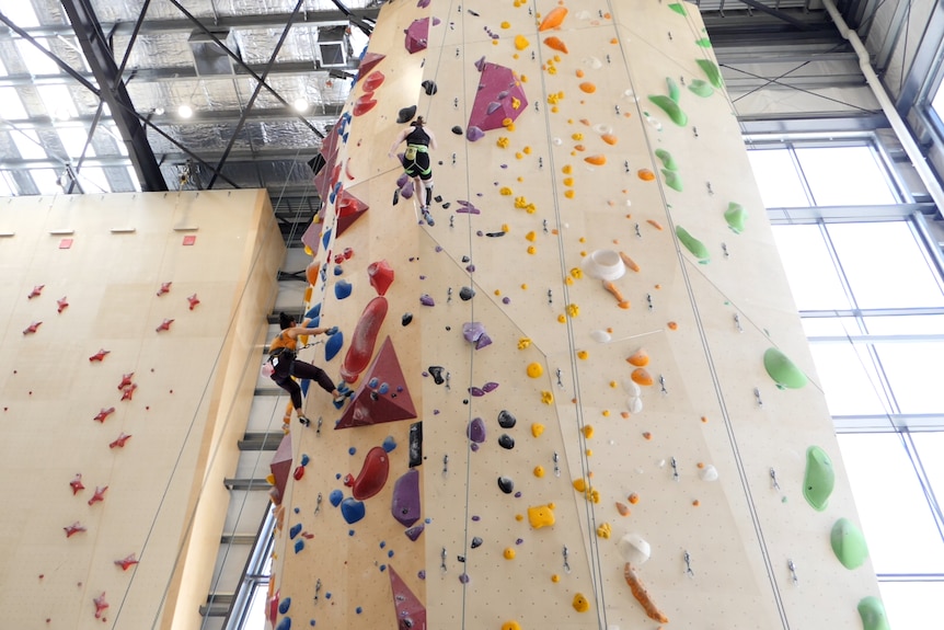 Australian paraclimber Sarah Larcombe climbs a wall at Urban Club, Blackburn.