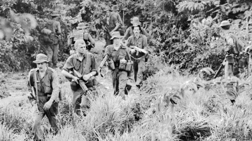 6RAR soldiers push through dense scrub in search of retreating Viet Cong after battle at Long Tan.