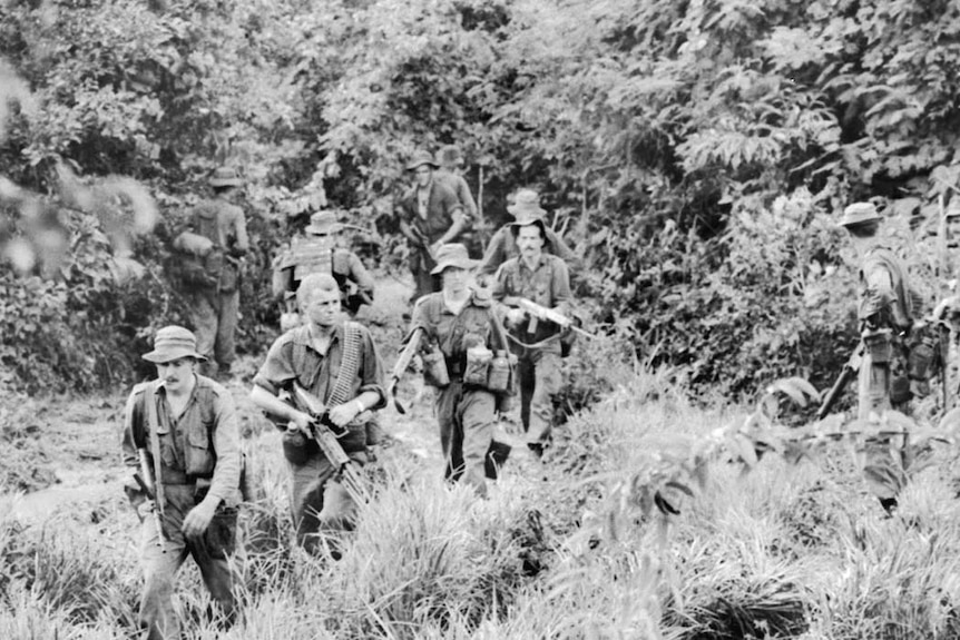 6RAR soldiers push through dense scrub in search of retreating Viet Cong after battle at Long Tan.