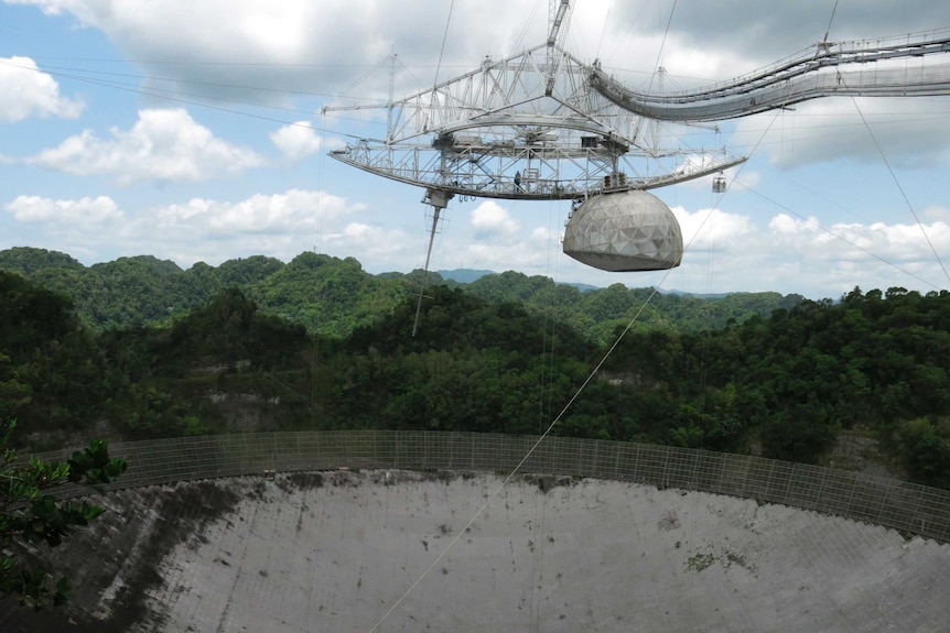 The damaged dish of the Arecibo telescope in Puerto Rico is seen amid the trees of the forest