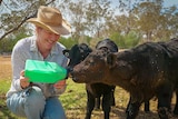 Two calves drink milk from a bottle held by a woman smiling and wearing an Akubra-style hat.