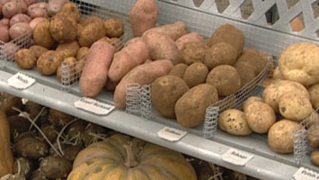There are 5,000 different types of native potatoes in the Andes alone.
