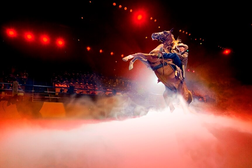 A man on a horse rearing on its hind legs in stadium spotlights with an audience in the background