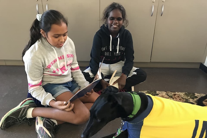 Research shows reading to a dog helps build confidence and fluency in reading.
