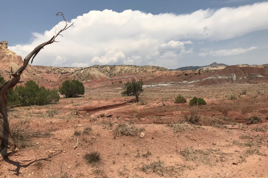 Landscape shot of a ranch in New Mexico.