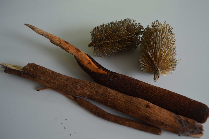 Two banksia flowers are next to a bunch of quandong roots