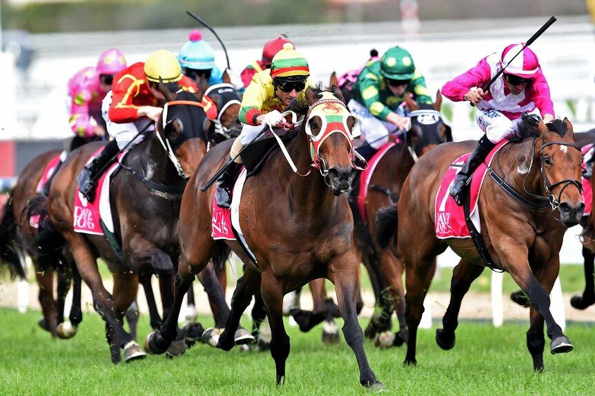 Lucky Hussler wins Toorak Handicap