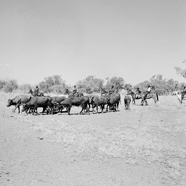 Aboriginal stockmen at Wave Hill cattle station