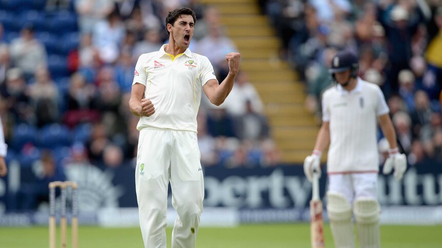 Mitchell Starc celebrates dismissing England's Ian Bell on day one of the first Test in Cardiff.