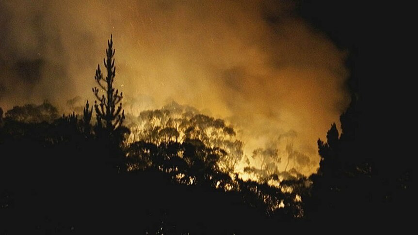 Aldgate bushfire