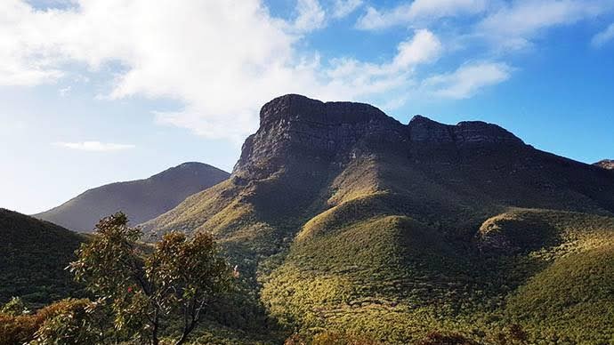 Green plants cover bluff knoll