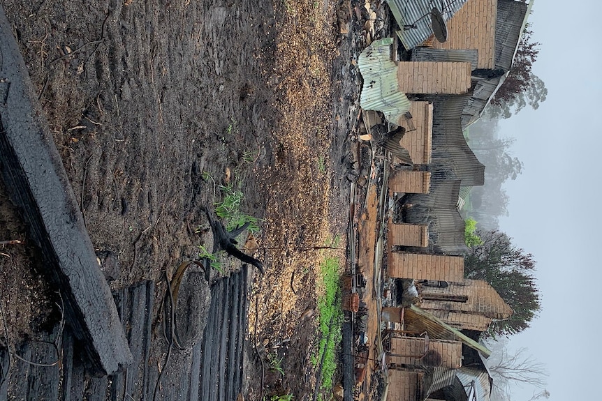 Twisted corrugated iron and small piles of bricks sit on blackened earth on a grey day.