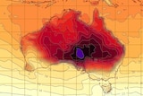 BoM temperature map