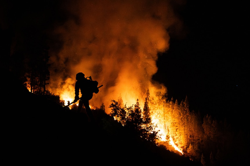 A firefighter battles a forest blaze at night on Tenerife.