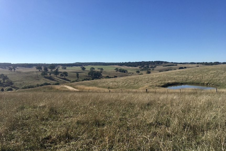 Landscape picture of rolling hills with dam in foreground 