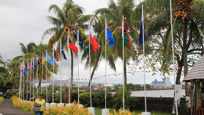 A row of flags of the members of the Pacific Islands Forum, flying outside the venue where it's taking place.