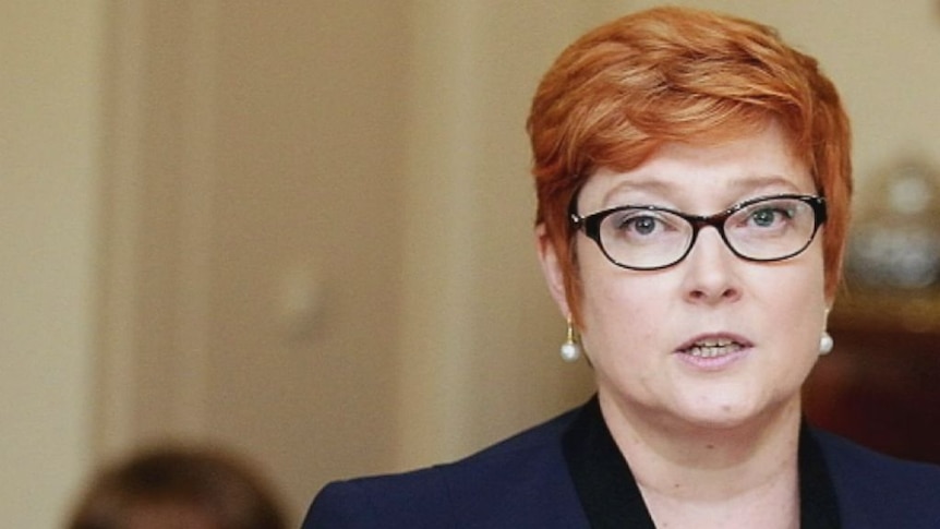 Marise Payne says the suspected deaths of two people during an Australian airstrike in Iraq are very regrettable