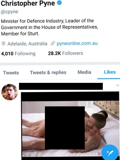 a screenshot of a censored pornographic tweet on Christopher Pyne's Twitter page