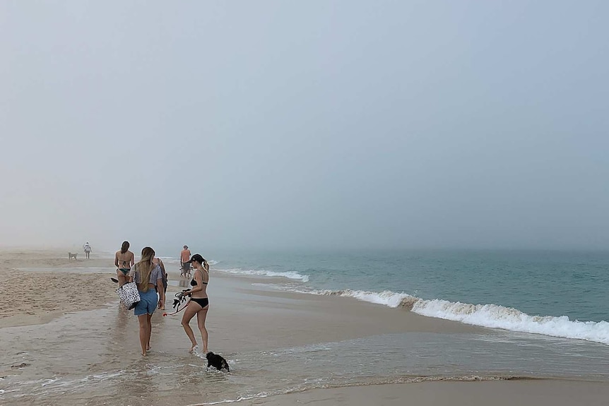 People walk on a beach with dogs as fog covers the sky.