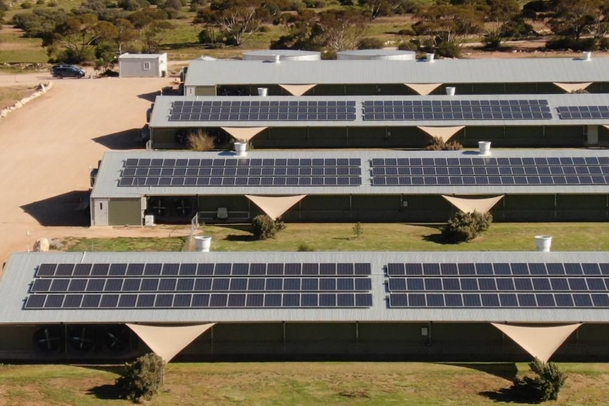 A view from above of solar panels on the roofs are big sheds.