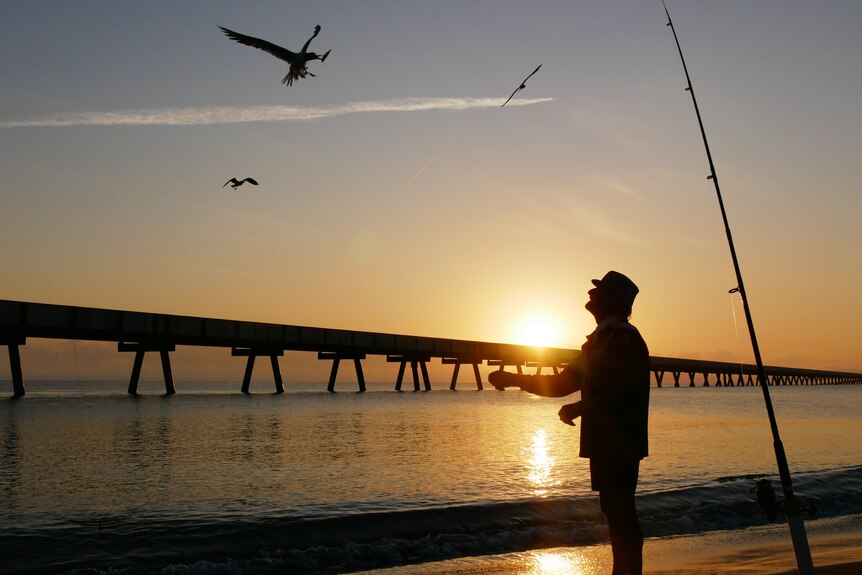 A man standing feeds birds on the beach at sunrise.