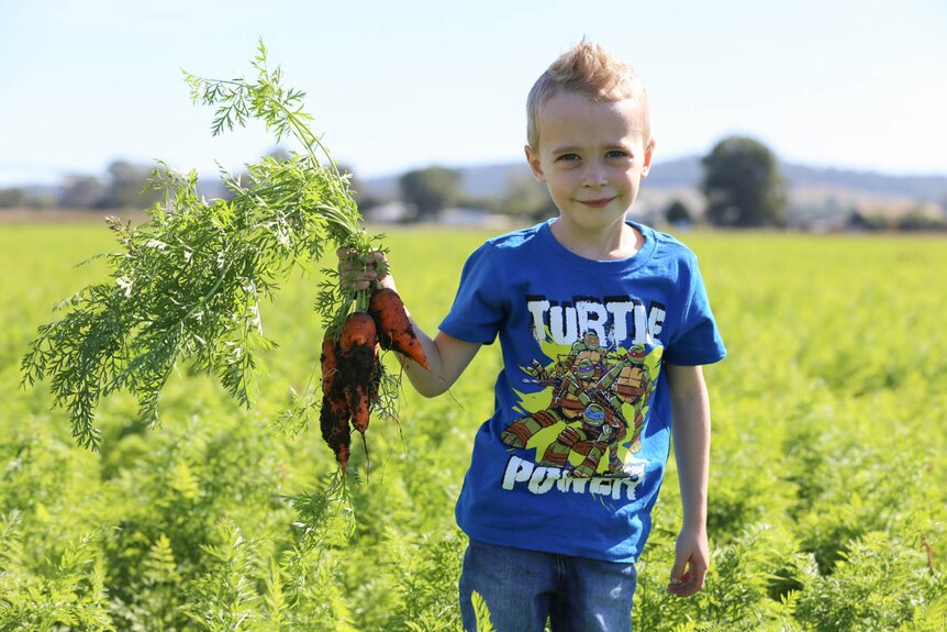 Child holding carrots on a farm.