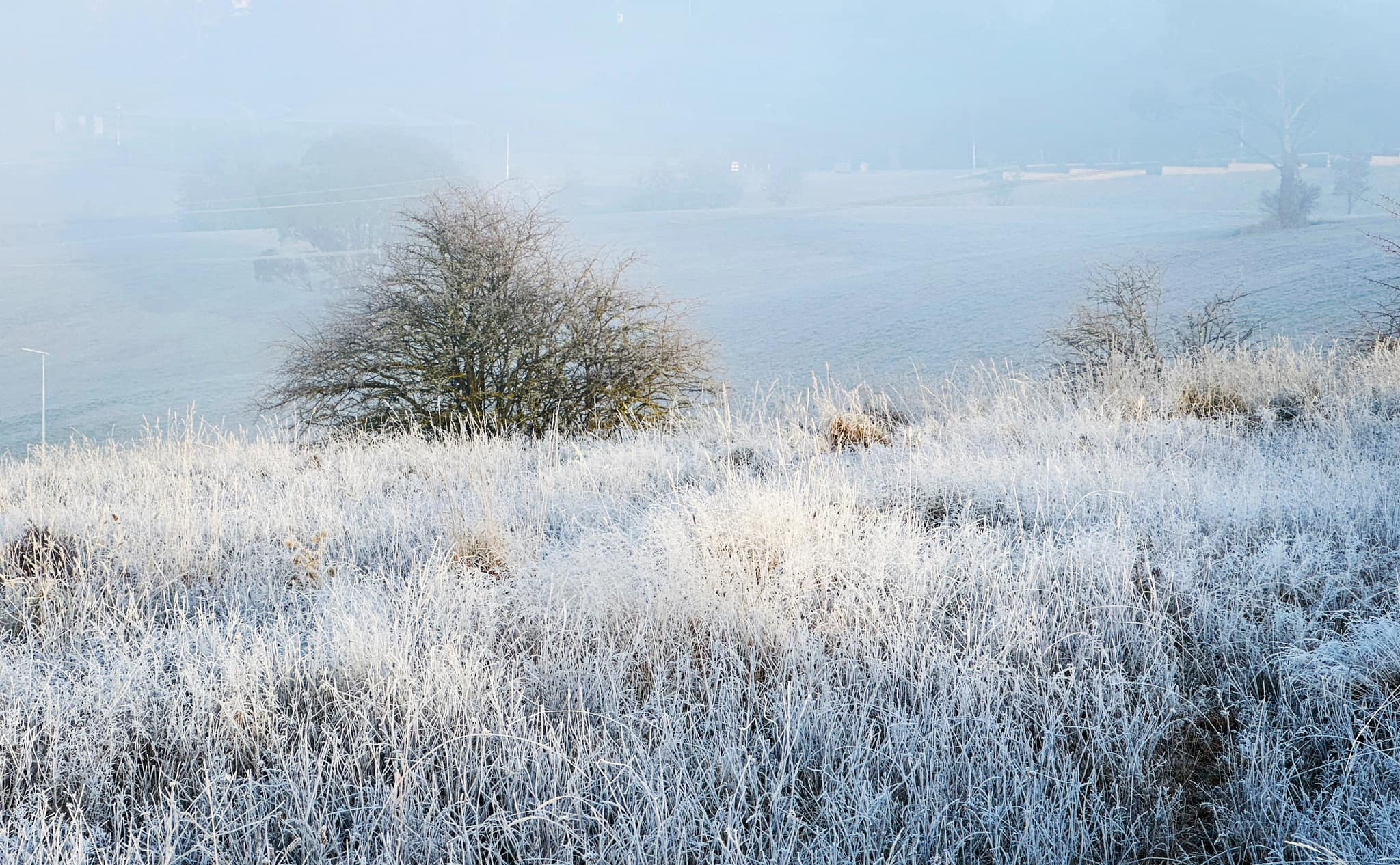 snow covered fields in new south wales oberon