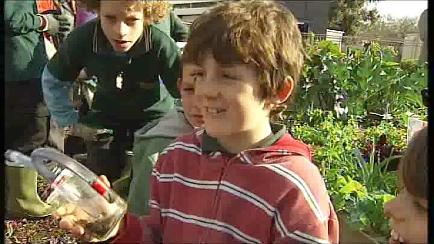 School children grow their own food