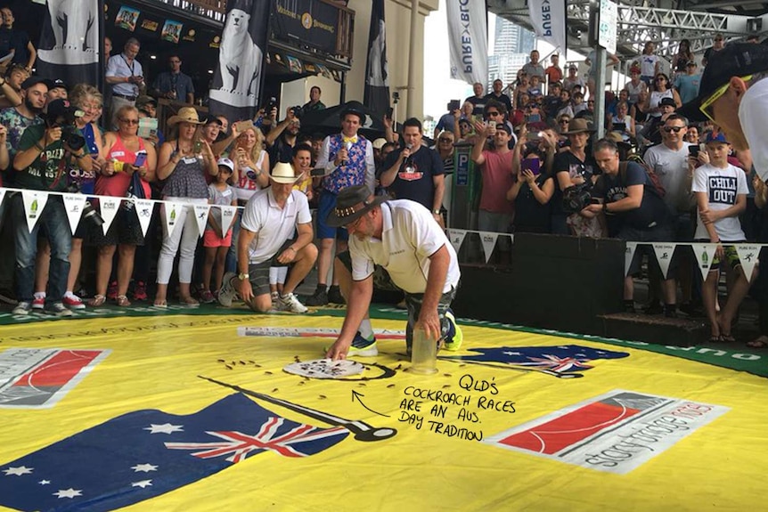 A number of cockroaches scuttle across a bright yellow tarp. A crowd cheers on.