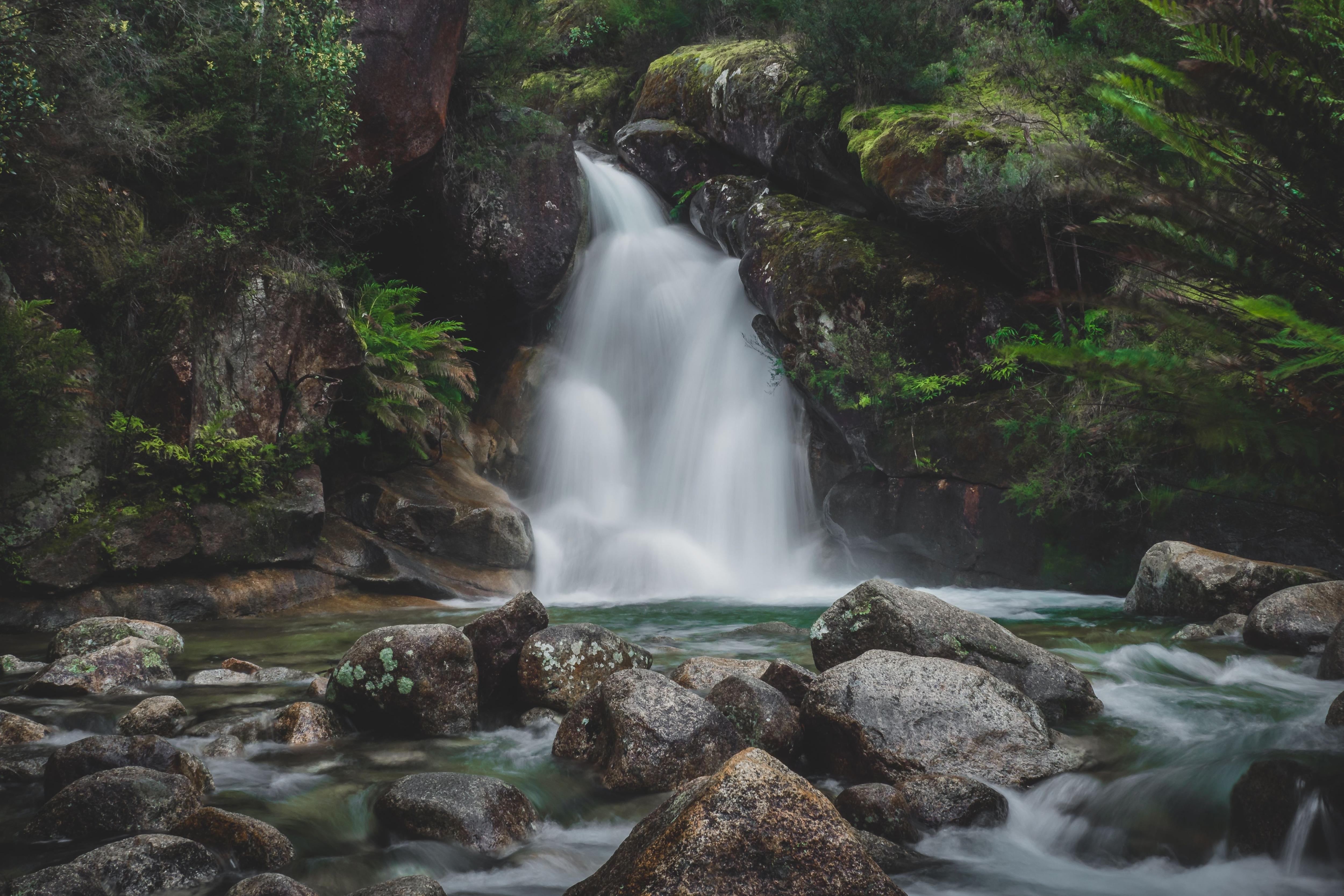 A small waterfall surrounded by ferns cascading into a pond.