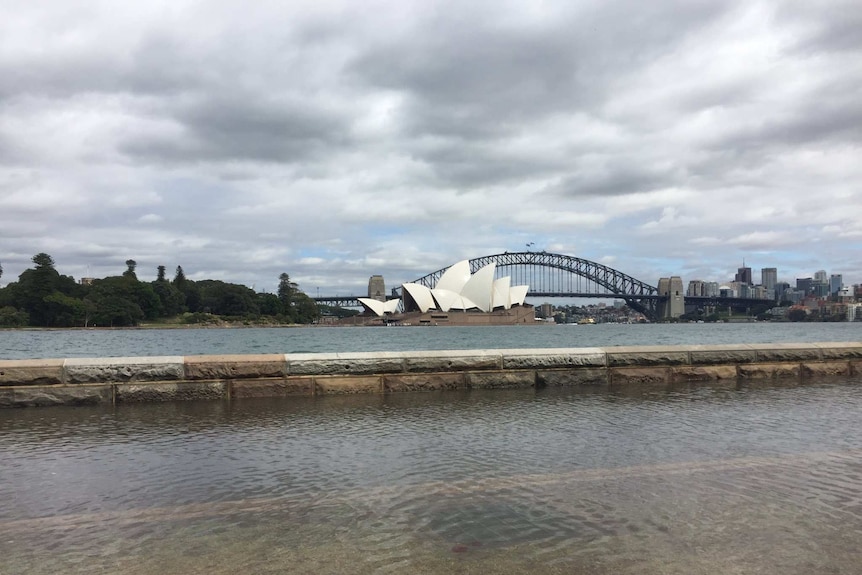 Botanical gardens floods