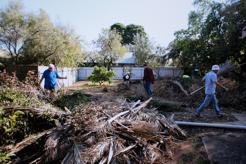 Church volunteers clear out palms and a variety of overgrown plants.