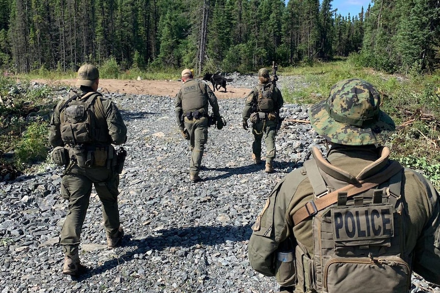 Four police in camouflage walk behind a dog into heavily wooded area.