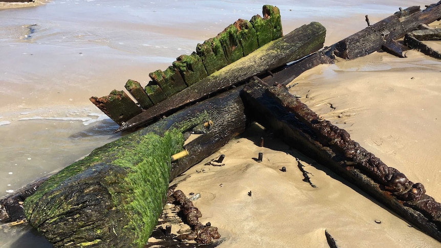 Wooden remants of a shipwreck on a beach with green moss