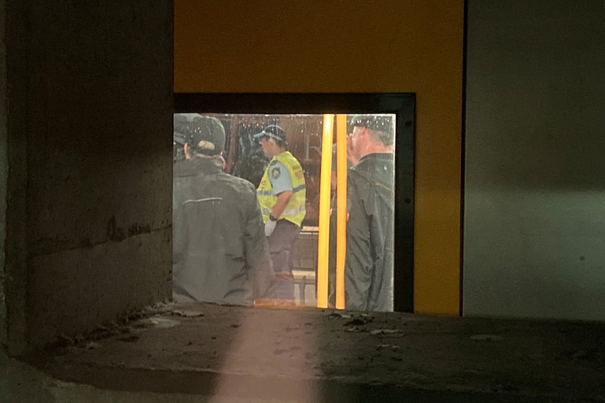 NSW Police board a train at North Sydney station afte a group of men wearing balaclavas 