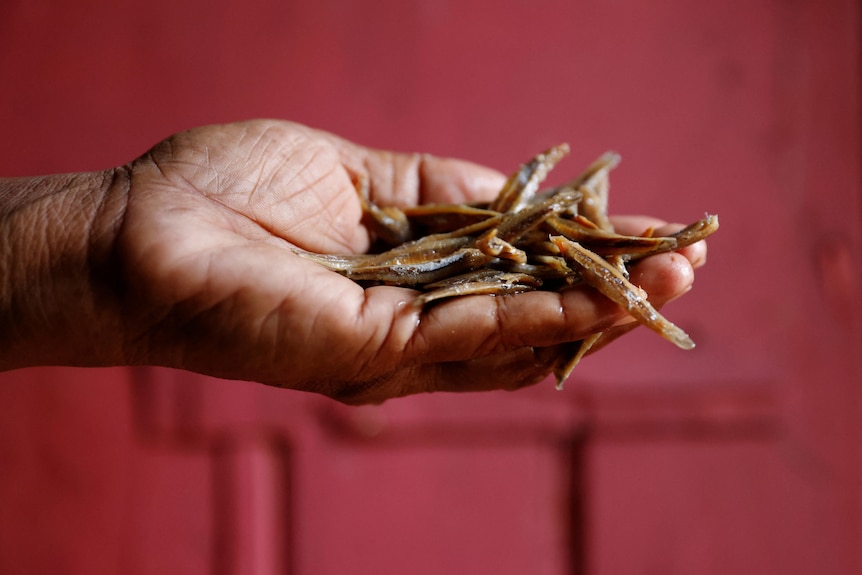 A woman's extended hand contains about a dozen strips of dried fish.