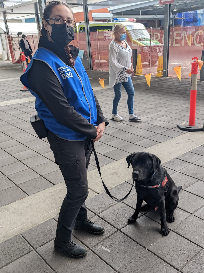 A woman wearing a blue smock and a face mask with a black dog on a lead sitting down