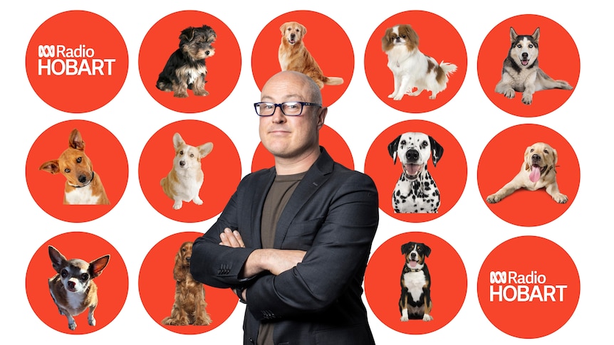 Andy Gall stands in front of dogs in red circles 