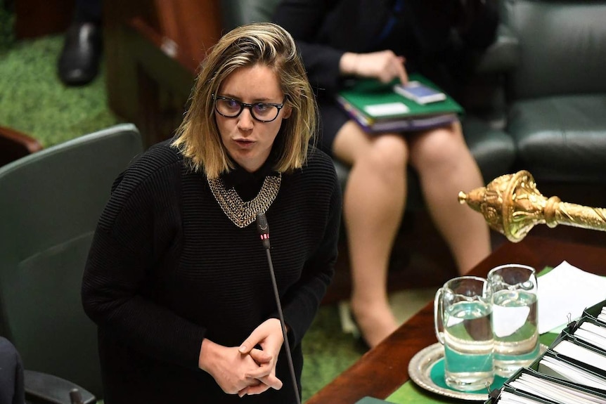 Steph Ryan stands up and addresses the Lower House of the Victorian Parliament.