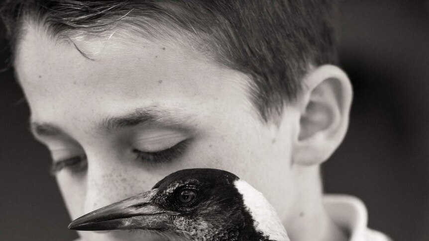 Noah Bloom with Penguin the magpie